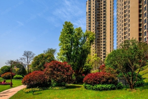 小区绿化维护与管理